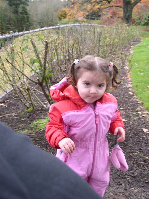 11.13.05 Arboretum-Pittock Mansion-Macleay Park 022 